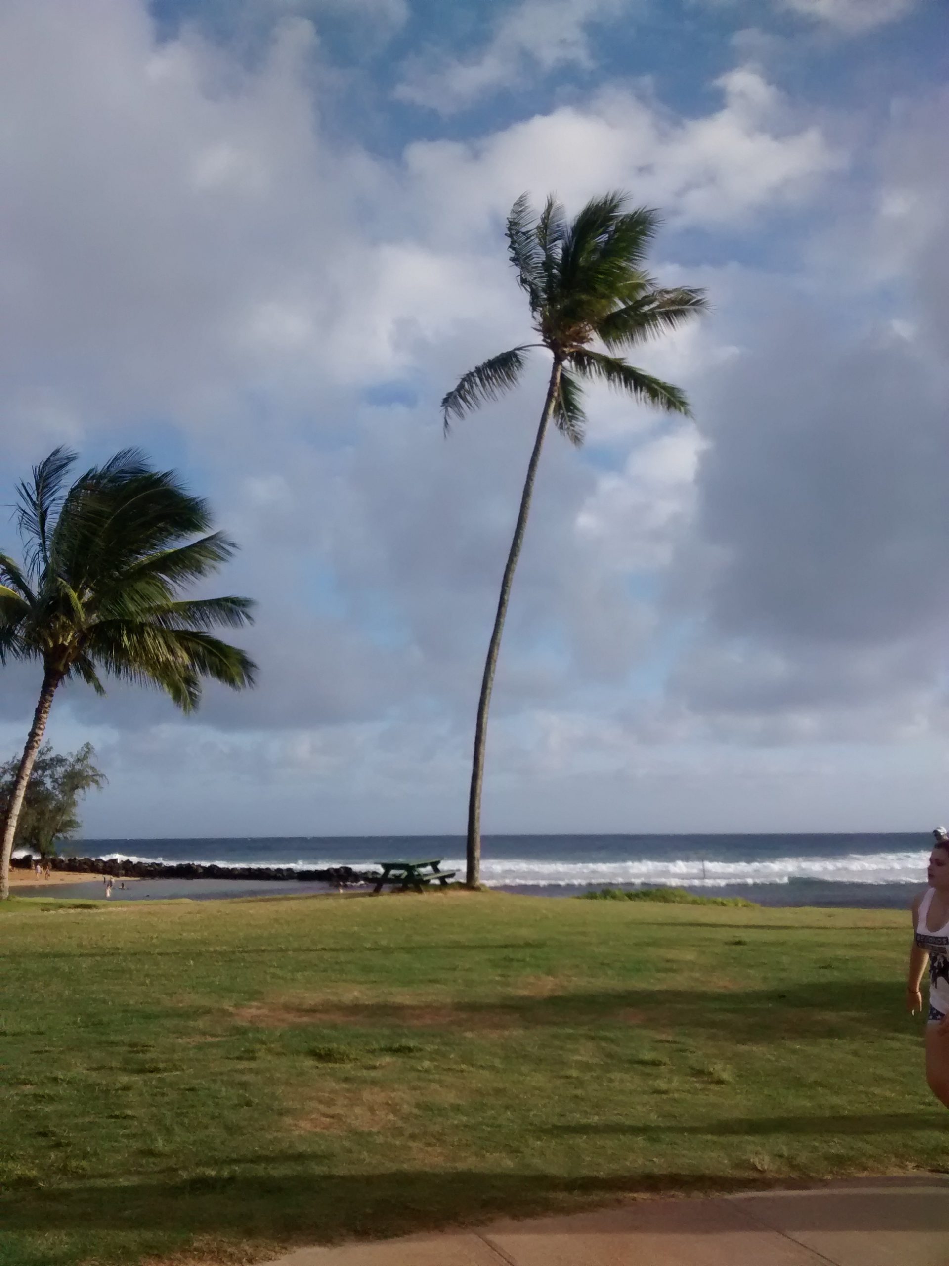 2015 awakening Kauai